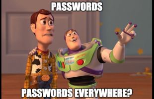 Why not use the same password several times?